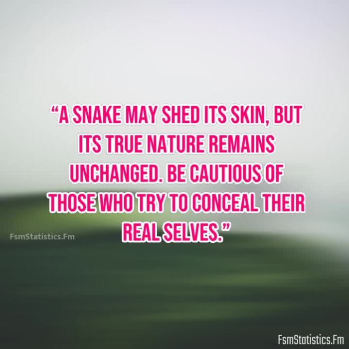 Be careful snake friends quotes