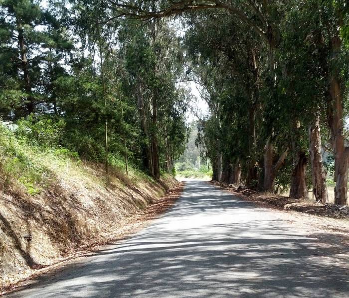 A bicyclist traveled from his village