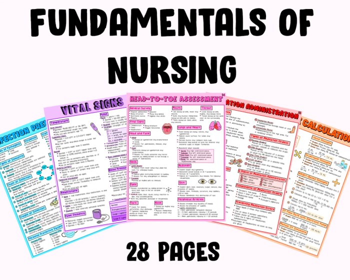 Study guide for fundamentals of nursing pdf