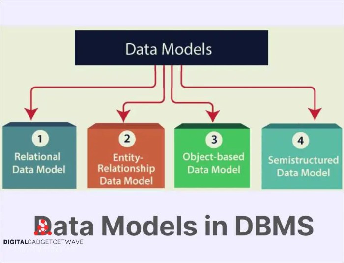 Data dbms