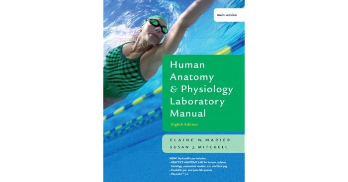 Human anatomy and physiology lab manual cat version pdf