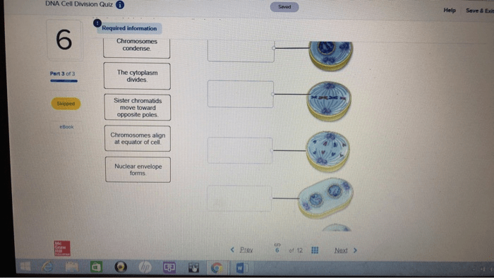 Appropriate match type description each division cell transcribed text show