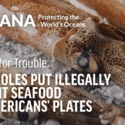 Seafood watch has made several unsustainable fishing practices illegal.