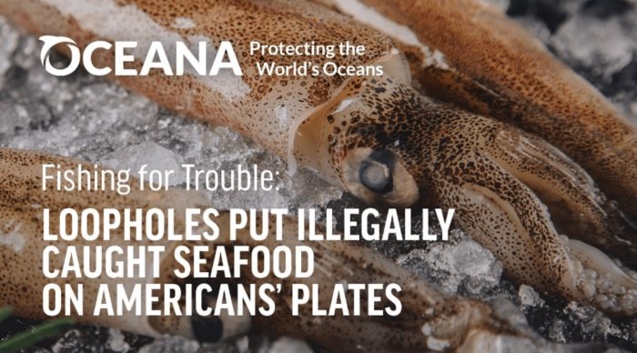 Seafood watch has made several unsustainable fishing practices illegal.